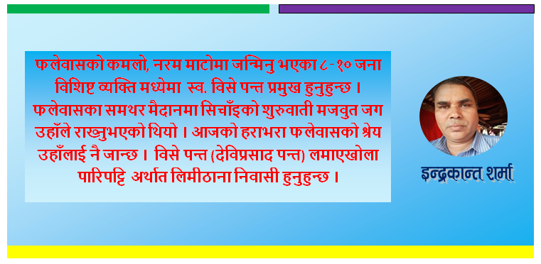 विसे पन्त, लमाए खोला र फलेवासवासी जनता