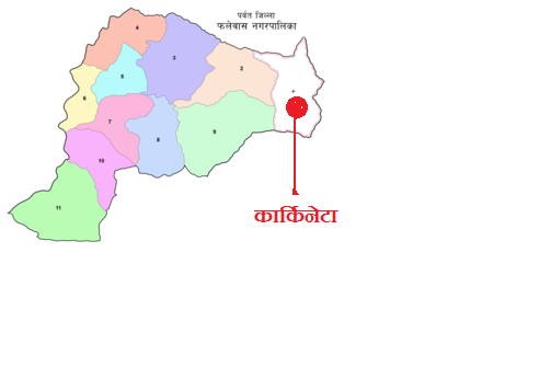 पर्वतको कार्किनेटा पूर्ण सरसफाई उन्मुख वडा