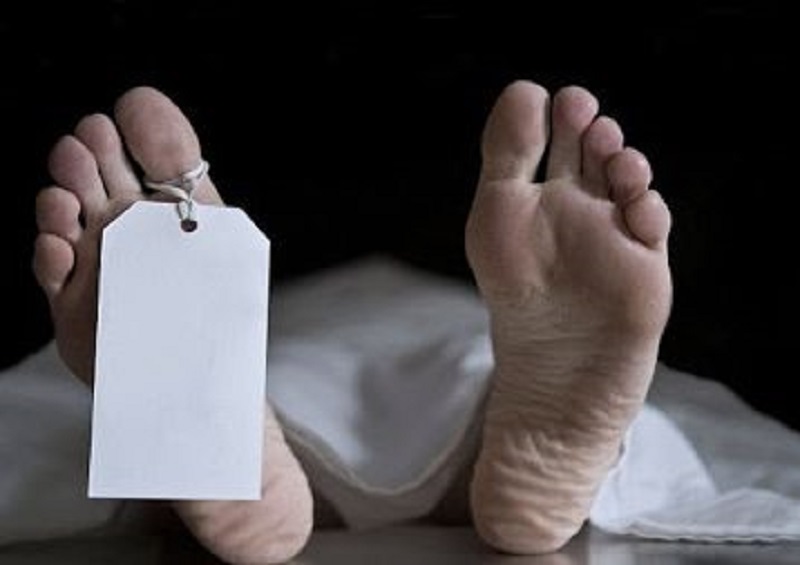 पर्वतमा रुखबाट लडेर एकको मृत्यु