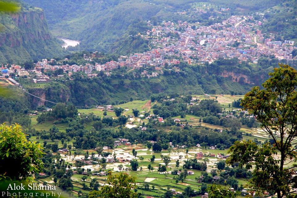 पर्वत–कटुवाचौपारीको एक चिनारी