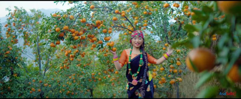 बाँसखर्क गाउँलाई समेटेर म्युजिक भिडियो तयार (भिडियो सहित)