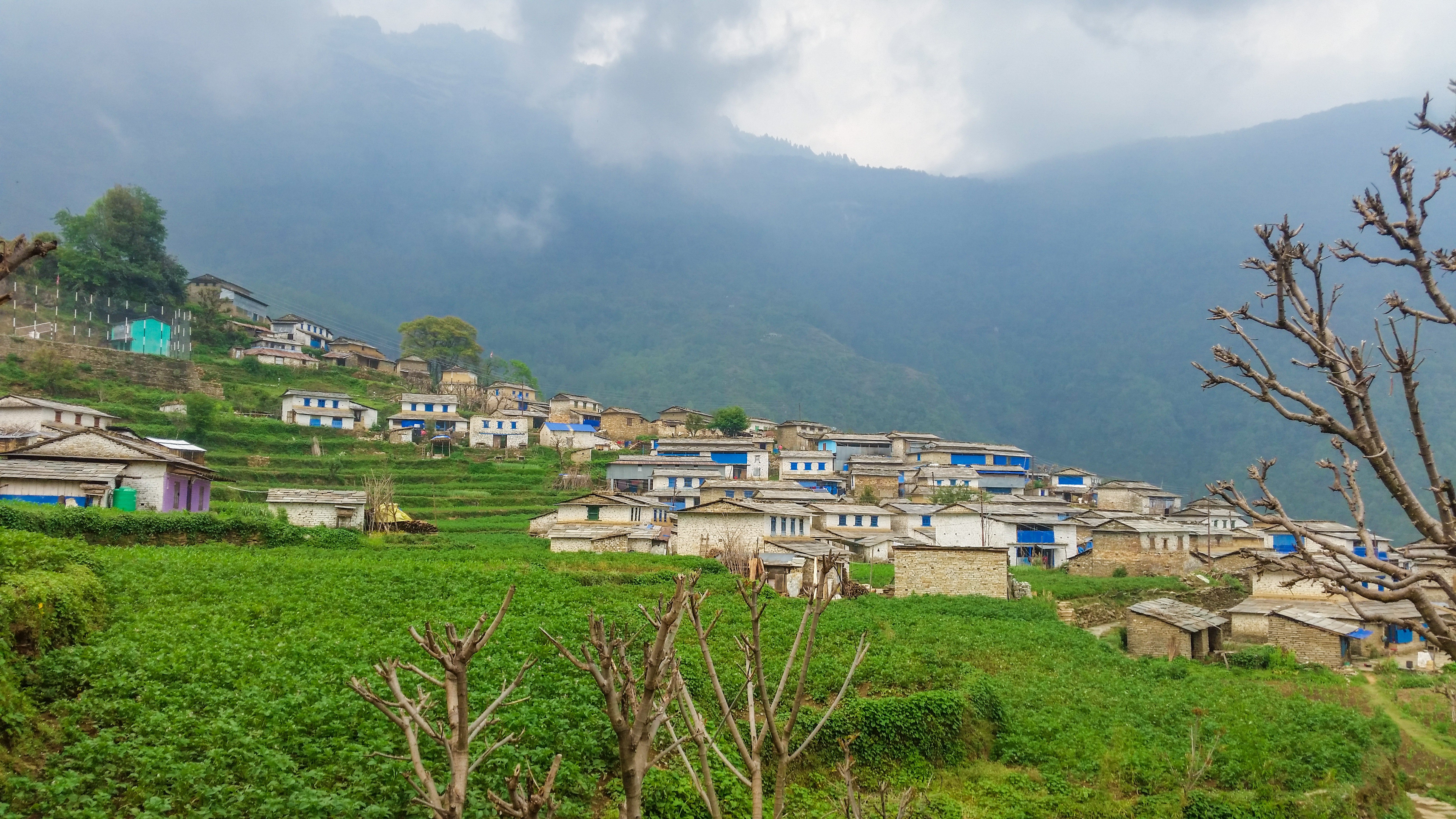 Lespar |  Discover Parbat