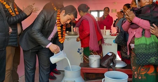 महाशिलामा दुग्ध संकलन केन्द्र स्थापना
