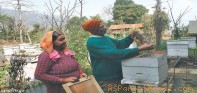 अवकाश पछि माहुरीपालन