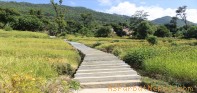 बेनी–मल्लाज पदमार्ग निर्माण