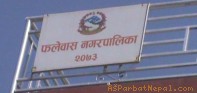 फलेवासमा मेयर कप हुँदै