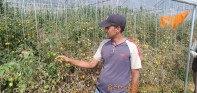 पर्वतमा टुट्टा किराले किसान हैरान